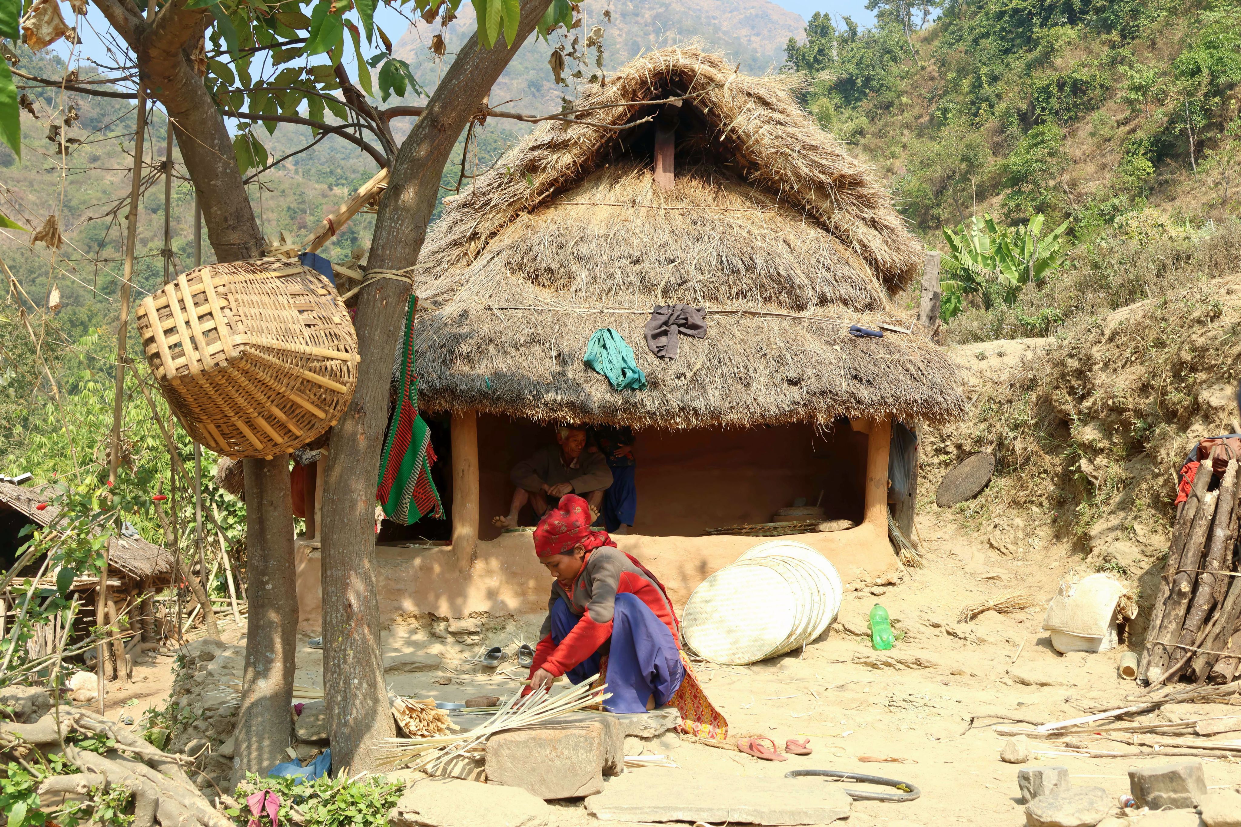 Chepang woman crafts a bamboo basket in front of her traditional house